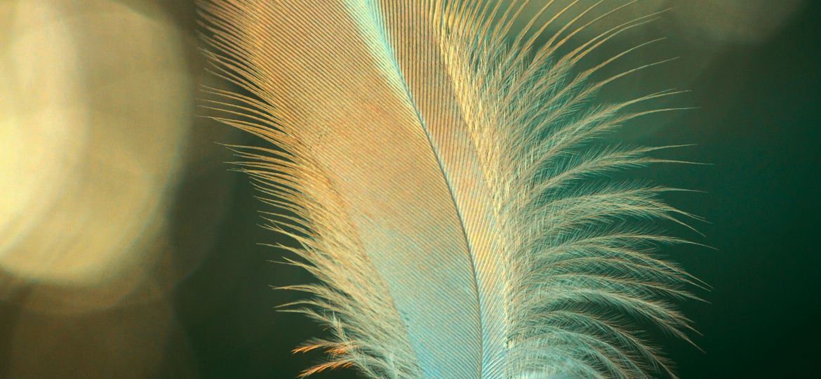 pexels-rishimanu89-8760935-scaled-thegem-blog-default