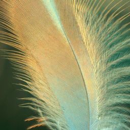 pexels-rishimanu89-8760935-scaled-thegem-blog-default