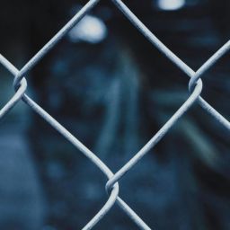 pexels-ryan-miguel-capili-1710923-3605822-scaled-thegem-blog-default
