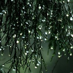 pexels-sitthan-kutty-322985-913807-scaled-thegem-blog-default