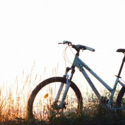 pexels-vatius-127016-scaled-thegem-blog-default