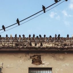 pexels-arturoaez220-20671702-scaled-thegem-blog-default-2