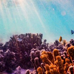 pexels-elliotconnor-7082811-scaled-thegem-blog-default