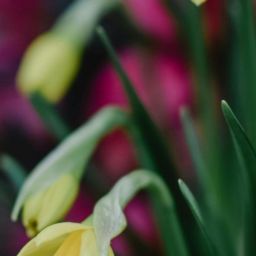 pexels-eva-bronzini-5779314-scaled-thegem-blog-default