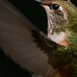 pexels-frank-cone-140140-2629373-scaled-thegem-blog-default