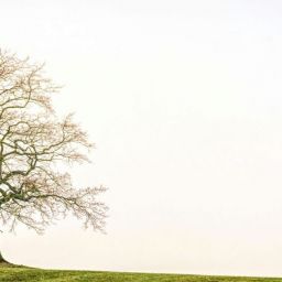 pexels-jplenio-1146706-scaled-thegem-blog-default