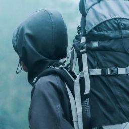 pexels-lalu-fatoni-228553-732632-scaled-thegem-blog-default