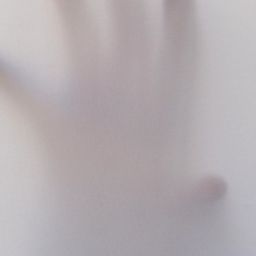 pexels-pedro-figueras-202443-626163-scaled-thegem-blog-default