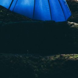 pexels-ravikant-1715161-scaled-thegem-blog-default