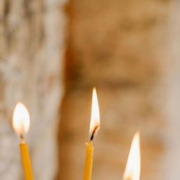 pexels-julia-volk-5273034-scaled-thegem-blog-default