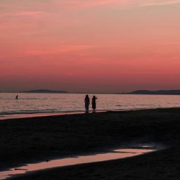 pexels-laura-rieusset-1317354533-25004848-scaled-thegem-blog-default