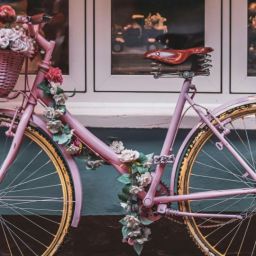 pexels-lebele-10896650-scaled-thegem-blog-default