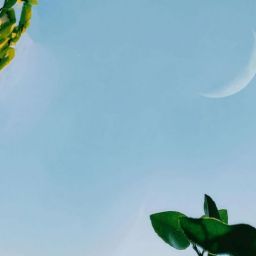 pexels-aditya-pratap-singh-1011523-14304795-scaled-thegem-blog-default