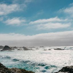 pexels-dbaler-3770757-scaled-thegem-blog-default-2