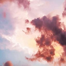 pexels-eberhardgross-844297-thegem-blog-default