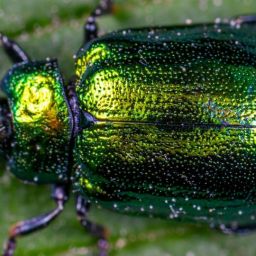 pexels-ekamelev-1114318-scaled-thegem-blog-default