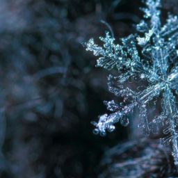 pexels-ekamelev-813872-scaled-thegem-blog-default