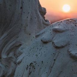 pexels-ellie-burgin-1661546-3345860-scaled-thegem-blog-default