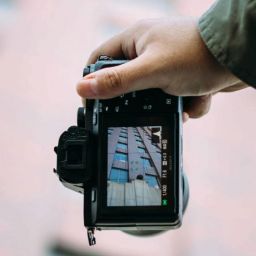 pexels-jaime-flores-1241799-2521471-scaled-thegem-blog-default