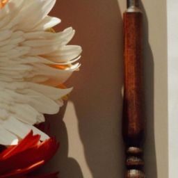 pexels-seymasungr-1499342462-27682043-scaled-e1726527196961-thegem-blog-default