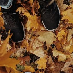 pexels-valeriiamiller-3183739-scaled-thegem-blog-default